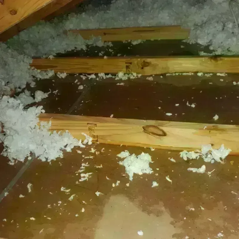 Attic Water Damage in Ithaca, NY